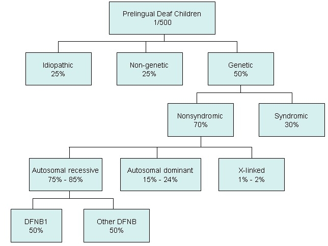 Causes of prelingual hearing loss ≥40dB in children